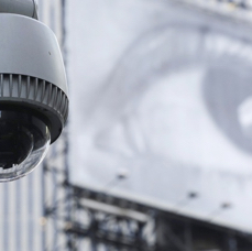 Mavin Info Tech team working on technology solutions